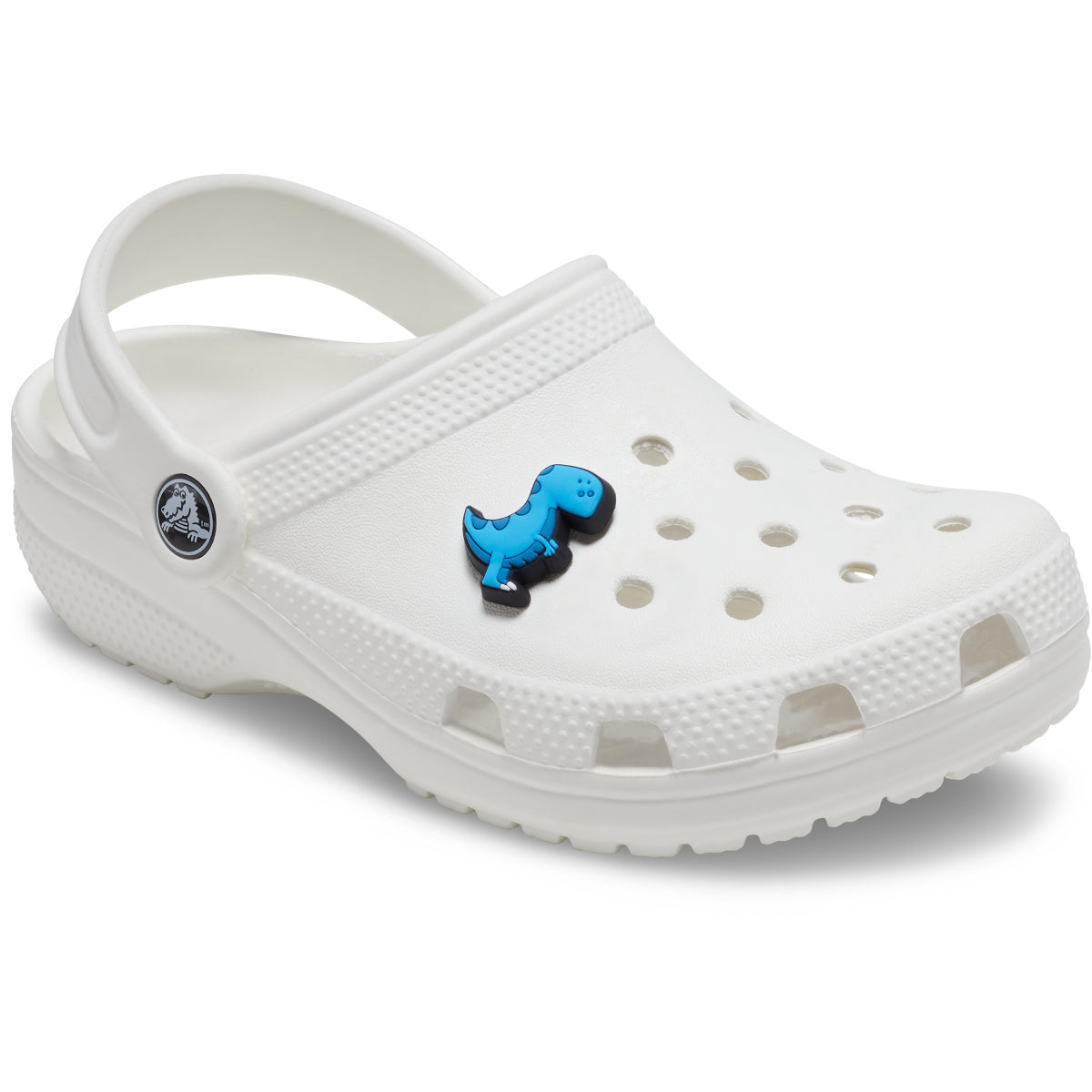Boys Rule Blue Dino - UNIQUE