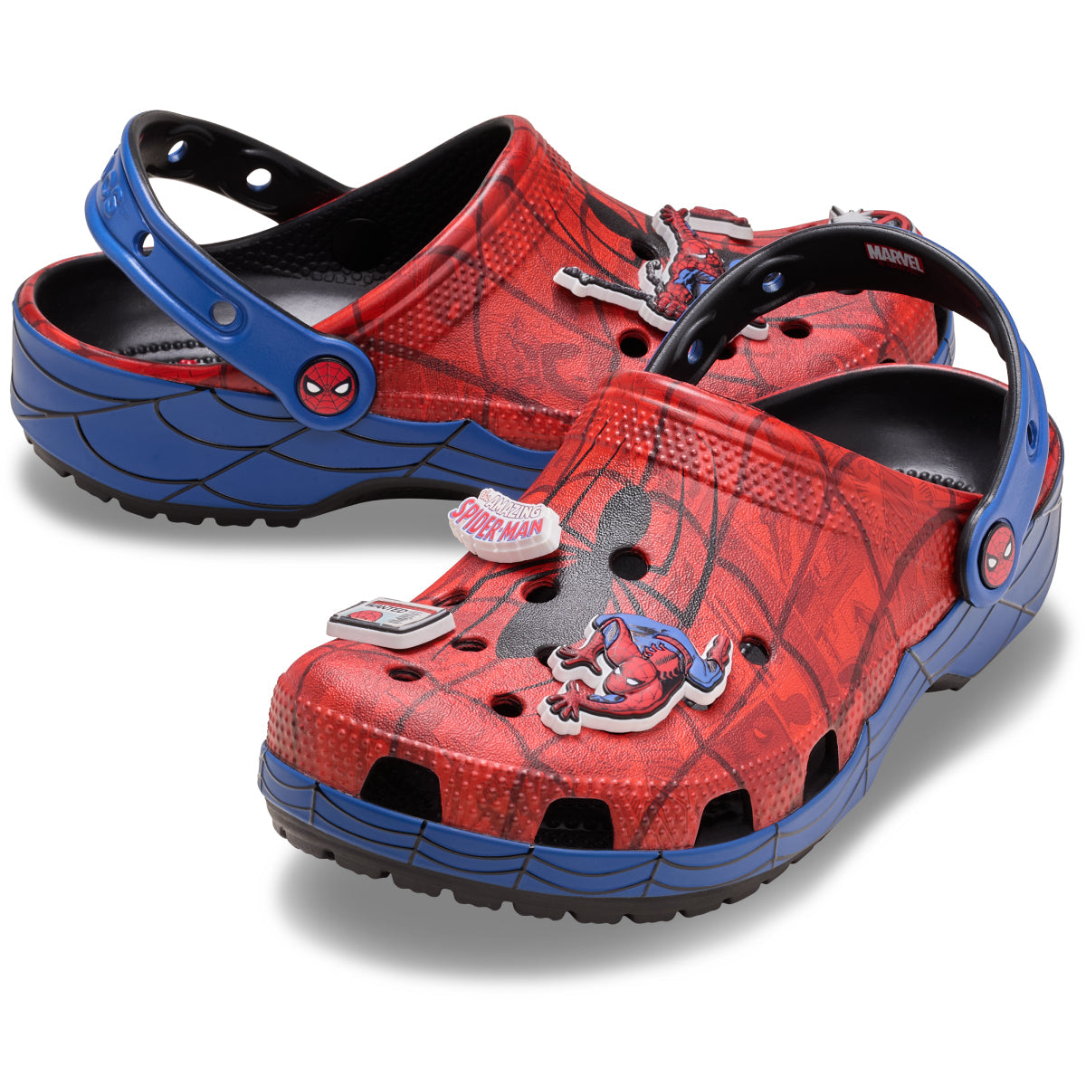SpiderWebClClgK - Çok Renkli